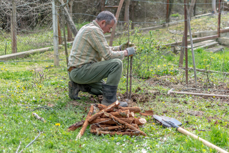 Mettre en place un système agroforestier Collectif Devenir Paysanne Paysan