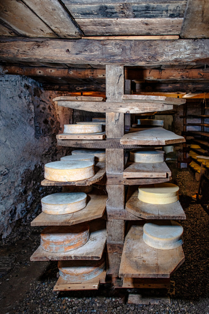 Connaître les bases de l’affinage des fromages à la ferme
