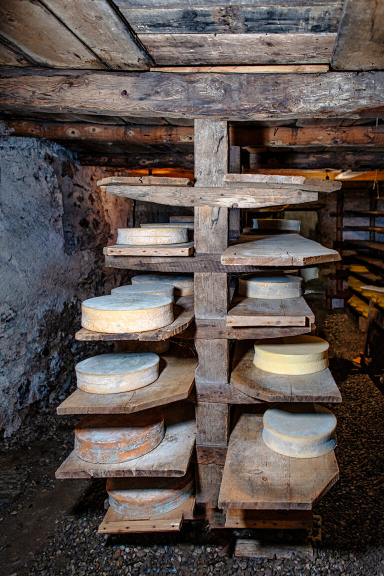 Connaître les bases de l’affinage des fromages à la ferme
