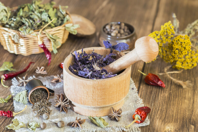 F86103 - Transformer des plantes aromatiques et médicinales dans le cadre du collectif devenir paysanne paysan