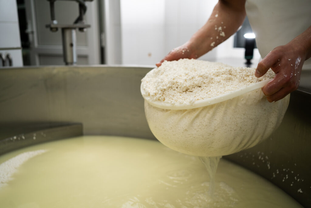 Connaître les bases de la transformation des fromages à la ferme