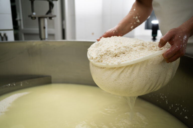 Connaître les bases de la transformation des fromages à la ferme
