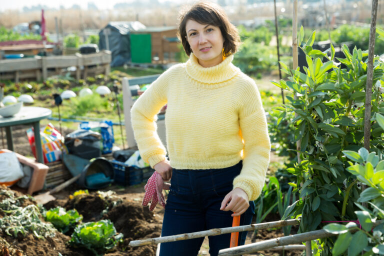 Conduire un atelier de maraîchage en agriculture biologique [F73102] avec le collectif Devenir Paysanne Paysan