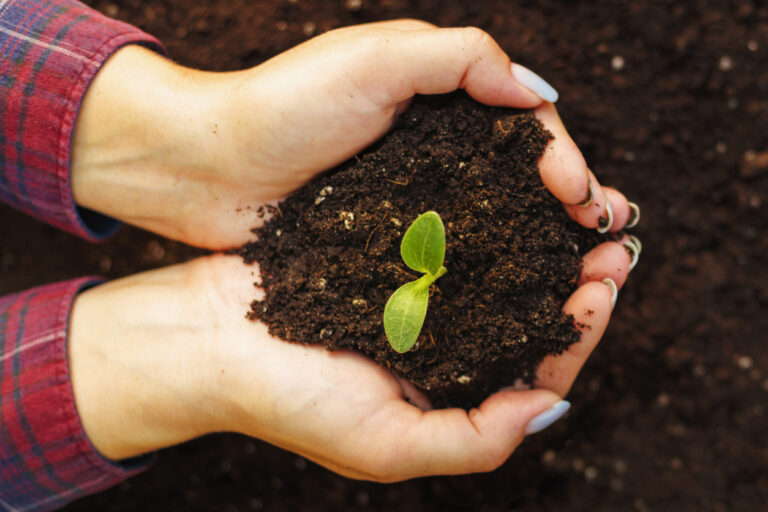 Sélectionner ses propres variétés de légumes pour devenir autonome en semences maraîchères [F42203] avec le collectif Devenir Paysanne Paysan